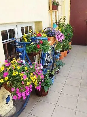 Crema Kazimierz Apartment Kraków Polska